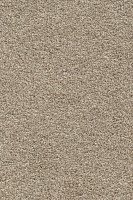 AW Stainguard Harvest 33 фото 1 | FLOORDEALER